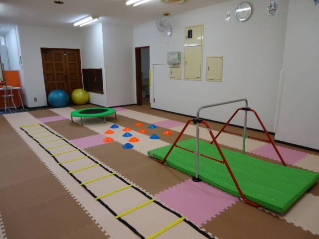 会社情報 千葉県習志野市 放課後等デイサービスこどもプラス