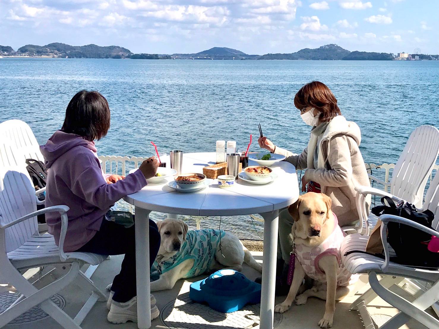 ドッグ アルバイトの求人 Indeed インディード